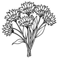 blåklint blomma bukett översikt illustration färg bok sida design, blåklint blomma bukett svart och vit linje konst teckning färg bok sidor för barn och vuxna vektor