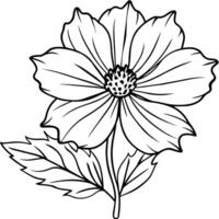 kosmos blomma växt översikt illustration färg bok sida design, kosmos blomma växt svart och vit linje konst teckning färg bok sidor för barn och vuxna vektor