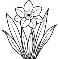Narzisse Blume Pflanze Gliederung Illustration Färbung Buch Seite Design, Narzisse Blume Pflanze schwarz und Weiß Linie Kunst Zeichnung Färbung Buch Seiten zum Kinder und Erwachsene vektor