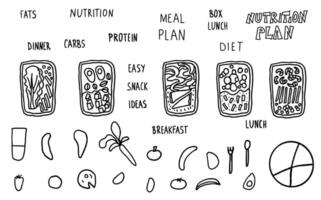 hälsa mat uppsättning. lunch lådor med måltid. vektor