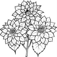 dahlia blomma bukett översikt illustration färg bok sida design, dahlia blomma bukett svart och vit linje konst teckning färg bok sidor för barn och vuxna vektor