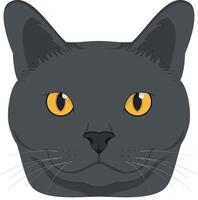 Chartreux Katze isoliert auf Weiß Hintergrund Illustration vektor