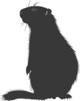 silhuett murmeldjur djur- svart Färg endast full kropp vektor