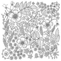 Anti-Stress-Malvorlagen für Erwachsene. Farbbuch mit Blumen. florale Schwarz-Weiß-Linienillustration vektor