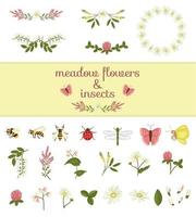 vektor uppsättning färgade vilda blommor element och insekter. samling av bi, humla, trollslända, nyckelpiga, mal, fjäril, akacia, ljung, kamomill, bovete, klöver, melilot.