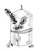 en ljus med en rep runt om den och lavendel- blommor. illustration av årgång levande ljus med blommor. svart linje konst skriva ut teckning. skiss på isolerat bakgrund. hand dragen redigerbar ClipArt vektor