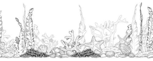 hav botten sömlös gräns. hand dragen undervattenskablar bakgrund. svart och vit linje konst teckning av korall rev med tång. översikt illustration av under vattnet strand. för de design av ramar vektor