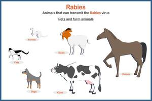Tollwut Virusübertragung durch Haustiere oder Vieh vektor