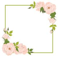 fyrkant ram med rosor. bröllop inbjudan med delikat rosa blommor. retro hälsning kort mall för mors dag eller Mars 8:e i pastell färger. platt tecknad serie stil. vektor