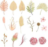 protea blomma, tropisk handflatan, reste sig, torr tropisk löv, blommig element. trendig vinter, höst bröllop buketter vektor