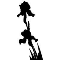 iris blomma silhuett vektor