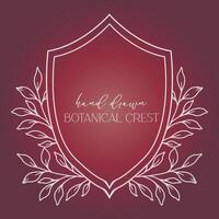 Hochzeit Kamm Blumen- Linie Kunst Design. botanisch Kamm Linie Zeichnung. Grün Linie Kunst, Blatt und Geäst Kamm. Blumen- Rahmen Linie Kunst. Monogramm Logo Kamm vektor