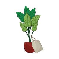Illustration von Zimmerpflanze mit Preis Etikett vektor