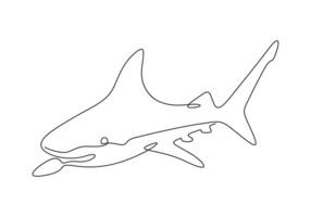 Hai Fisch im einer kontinuierlich Linie Zeichnung Digital Illustration vektor