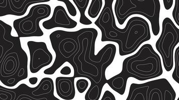 schwarz und Weiß abstrakt Muster mit wellig Linien. Papierschnitt und topografisch Linien. vektor