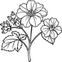 geranium blomma växt översikt illustration färg bok sida design, geranium blomma växt svart och vit linje konst teckning färg bok sidor för barn och vuxna vektor