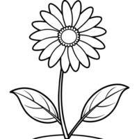 daisy blomma växt översikt illustration färg bok sida design, daisy blomma växt svart och vit linje konst teckning färg bok sidor för barn och vuxna vektor