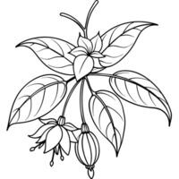 fuchsia blomma växt översikt illustration färg bok sida design, fuchsia blomma växt svart och vit linje konst teckning färg bok sidor för barn och vuxna vektor