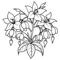 fuchsia blomma bukett översikt illustration färg bok sida design, fuchsia blomma bukett svart och vit linje konst teckning färg bok sidor för barn och vuxna vektor