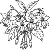 fuchsia blomma bukett översikt illustration färg bok sida design, fuchsia blomma bukett svart och vit linje konst teckning färg bok sidor för barn och vuxna vektor