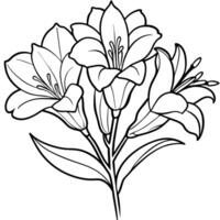 fresia blomma växt översikt illustration färg bok sida design, fresia blomma växt svart och vit linje konst teckning färg bok sidor för barn och vuxna vektor