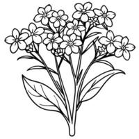 glömma mig inte blomma bukett översikt illustration färg bok sida design, glömma mig inte blomma bukett svart och vit linje konst teckning färg bok sidor för barn och vuxna vektor