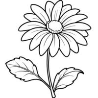 daisy blomma växt översikt illustration färg bok sida design, daisy blomma växt svart och vit linje konst teckning färg bok sidor för barn och vuxna vektor