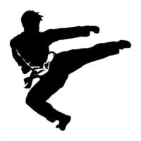 Karate Silhouette Logo Symbol vektor