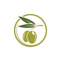 Olive Symbol Illustration Design Vorlage vektor