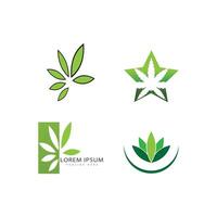 cannabis logotyp mall symbol design vektor