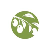 Olive Symbol Illustration Design Vorlage vektor