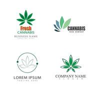 Cannabis Logo Vorlage Symbol Design vektor