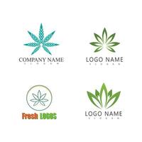 Cannabis Logo Vorlage Symbol Design vektor