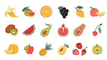 Früchte einstellen im Karikatur Stil. gesund Essen, frisch Essen, natürlich tropisch Frucht. modisch modern Illustration isoliert auf Weiß Hintergrund, Hand gezeichnet, eben Design vektor