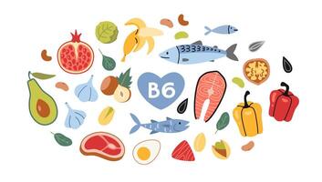 bäst källor av vitamin b6 mat, tecknad serie stil. hav mat, fisk, kött, frukter, grönsaker, nötter och ägg uppsättning. isolerat illustration, hand ritade, platt design vektor