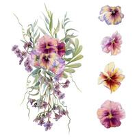 Hand gezeichnet Aquarell Illustration botanisch Blumen Blätter. mauve Stiefmütterchen Viola, Heuschrecke Indigo Zweig, Weide Eukalyptus, Bergenia Heliotrop Lungenkraut, Ranken. Strauß isoliert Weiß. Hochzeit, Karten vektor