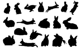Silhouetten von Ostern Hasen isoliert auf ein Weiß Hintergrund. vektor