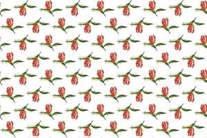 Illustration Muster, abstrakt von Flamme Lilie, Klettern Lilie, Türken Deckel Blume mit Blatt auf Weiß Hintergrund. vektor