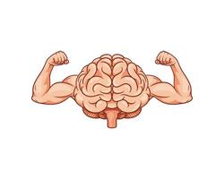 illustration av hjärna visar biceps, hjärna kraft av intellekt. vektor