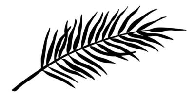 Palme Blatt Illustration. Silhouette von Ast. Urwald tropisch Baum im linear Stil auf isoliert Hintergrund. graviert skizzieren von Regenwald Laub zum Symbol oder Logo. botanisch Gemälde von Pflanze vektor