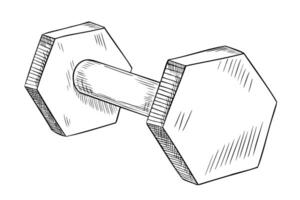 Hantel zum Fitness. Hantel Illustration auf isoliert Hintergrund. linear Zeichnung von Sport Ausrüstung zum Gewichtheben im Fitnessstudio gemalt durch schwarz Tinten. Ausbildung Gewichte skizzieren zum Symbol oder Logo vektor