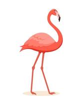 Rosa Flamingo. exotisch tropisch Vogel Charakter. isoliert Tierwelt Tier. vektor