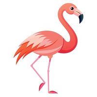 flamingo fågel platt stil illustration vektor