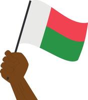 Hand halten und erziehen das National Flagge von Madagaskar vektor
