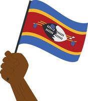 hand innehav och höjning de nationell flagga av swaziland vektor