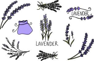 Lavendel Logo und Ast. Hand gezeichnet Hochzeit Kraut, Pflanze und Monogramm vektor