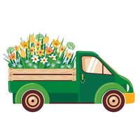 ein Grün Jahrgang LKW ist Tragen ein Arm voll von Gelb Frühling Blumen. Narzissen und Tulpen im das Kofferraum von ein LKW. Lieferung von Frühling Blumen. illustriert Clip Art. vektor