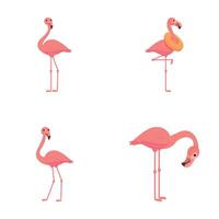 flamingo ikoner uppsättning tecknad serie . söt rosa flamingo fågel vektor