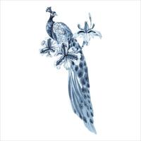 påfågel fågel och blå iris blommor. hand dragen vattenfärg illustration isolerat på vit bakgrund. indigo svartvit design sammansättning med en fjäderfä fågel. kunglig indisk symbol av rikedom och Bra tur vektor