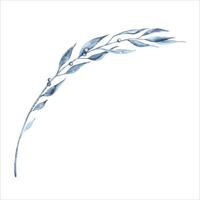 blå abstrakt löv vattenfärg illustration. hand dragen botanisk element isolerat på vit bakgrund. indigo blå svartvit grenar ClipArt för textil- mönster, dekorativ blad mönster och kort vektor